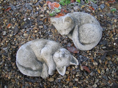 KA102 Sleeping Cat 2 KA102 Sleeping Cat 2